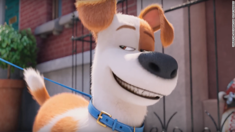 secret life of pets dog