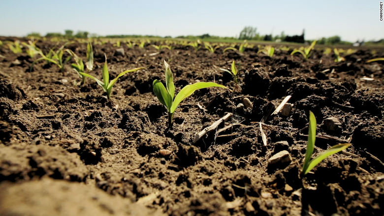 climate corp crops