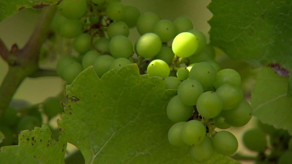 Is this English bubbly as good as Champagne?