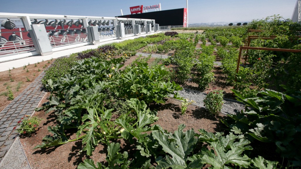 Levi's Stadium debuts a rooftop farm