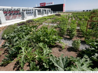 Levi's Stadium, home of the 49ers, unveils rooftop farm