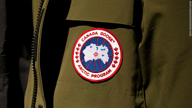 canada goose