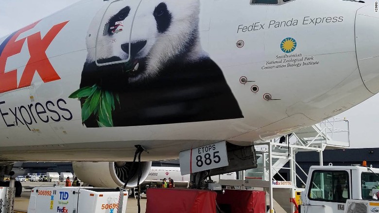 Panda's first flight: FedEx sends Bao Bao to China