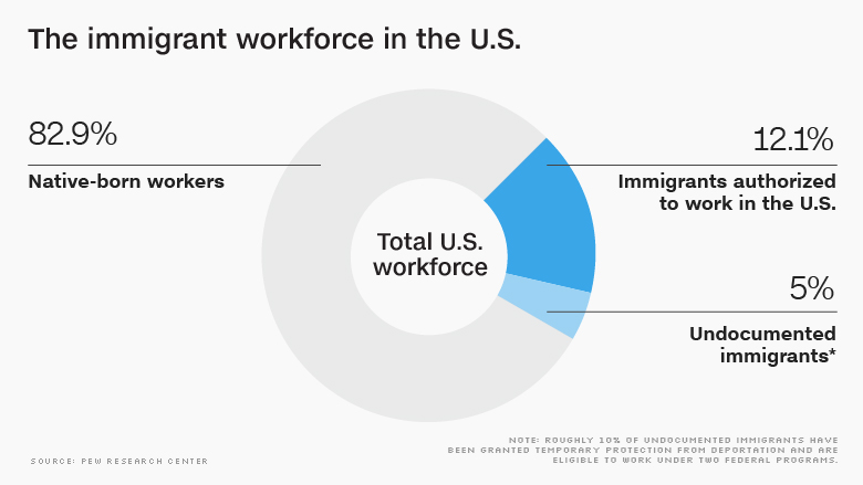 Undocumented workers job statistics