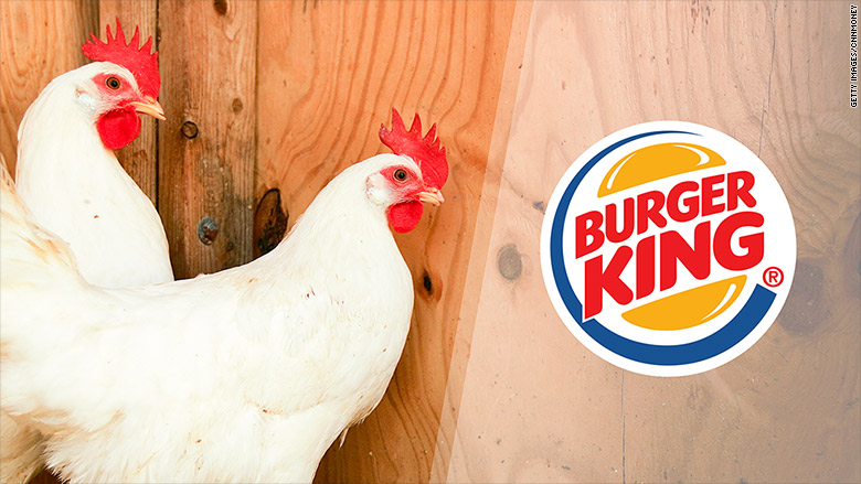 burger king chicken welfare