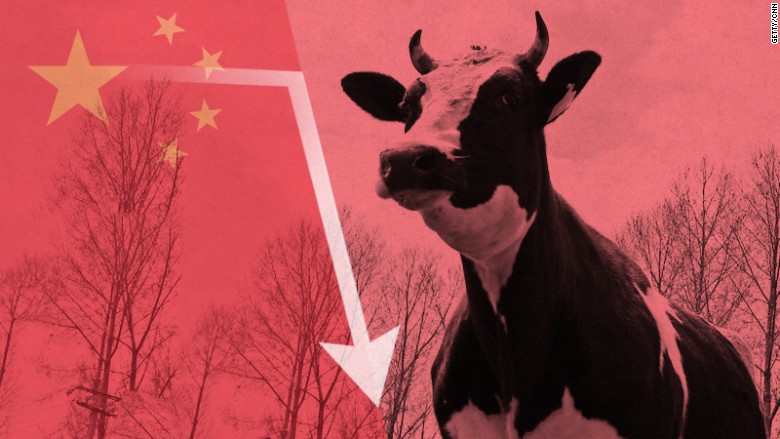 china dairy stock fall