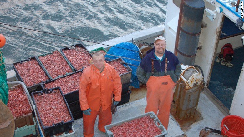 Maine fisherman climate change