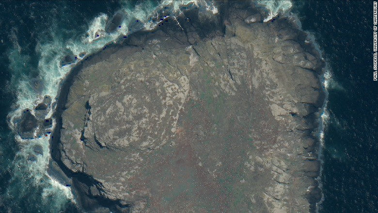 satellite image chatham islands