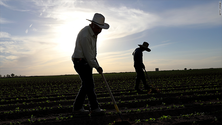 california farm workers