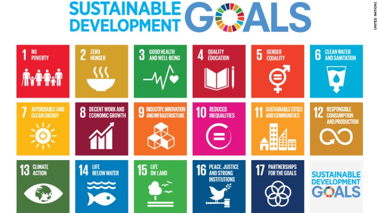 un development goals