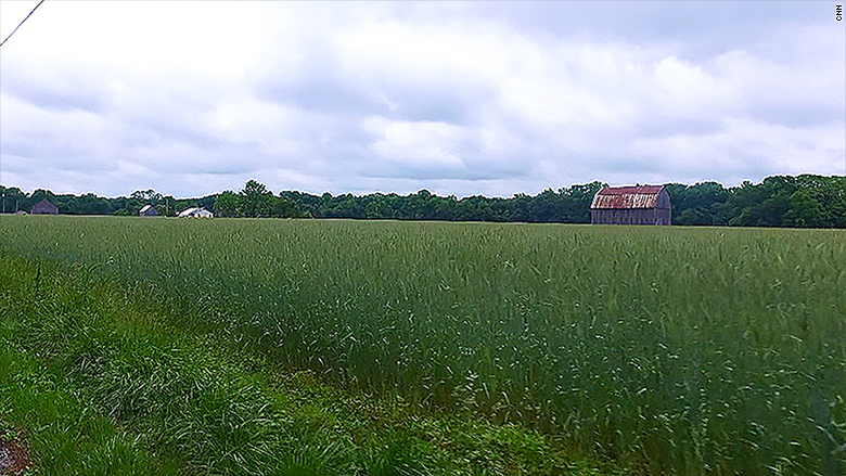 brandywine farm