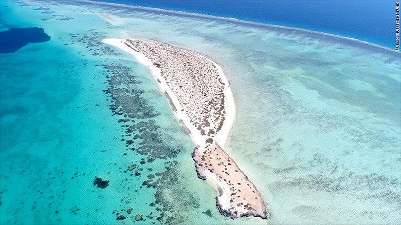 saudi arabia red sea project