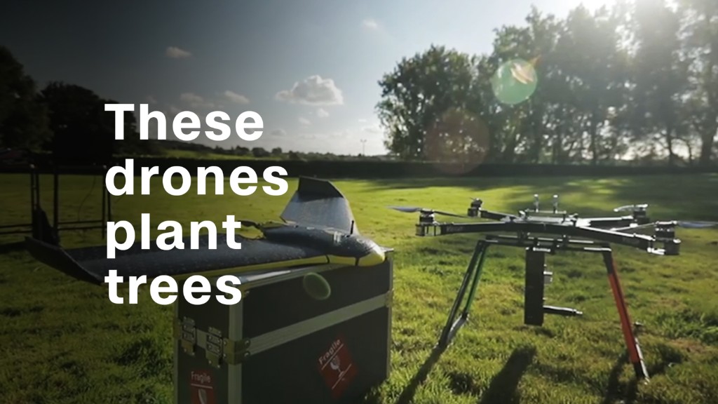 Tree-planting drones hope to fight deforestation