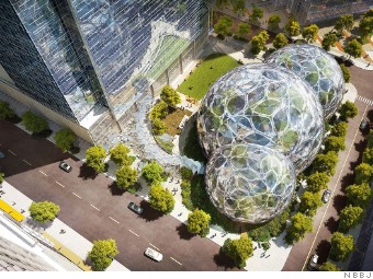 Amazon Spheres