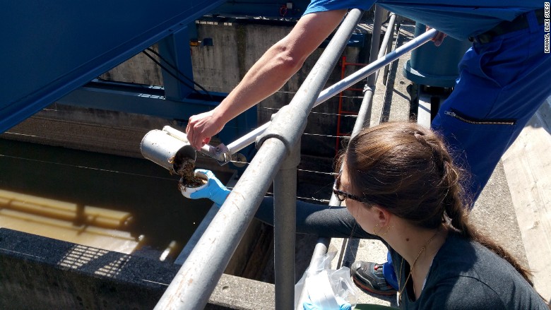 Switzerland sewage research gold