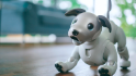 Sony unleashes the cuteness with new robot dog