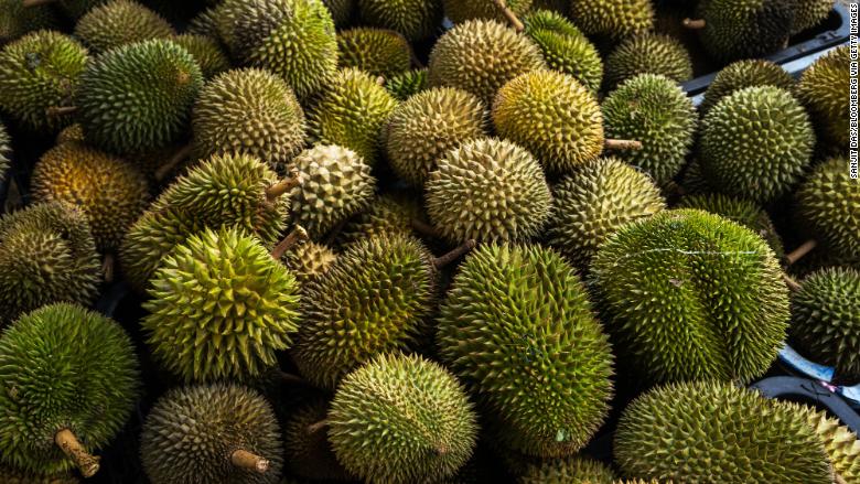 foodie travel souvenir durian