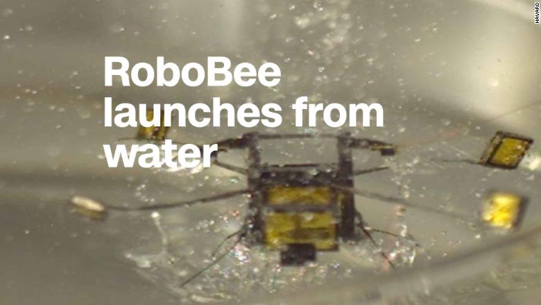 Robotic Bee Can Jump Off The Surface Of Water Video Tech Future 