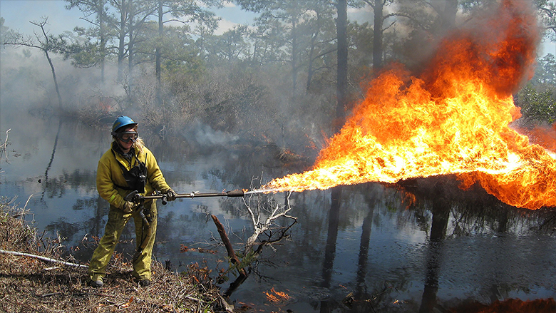 flamethrowers