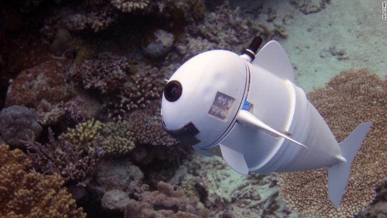 SoFi robot fish