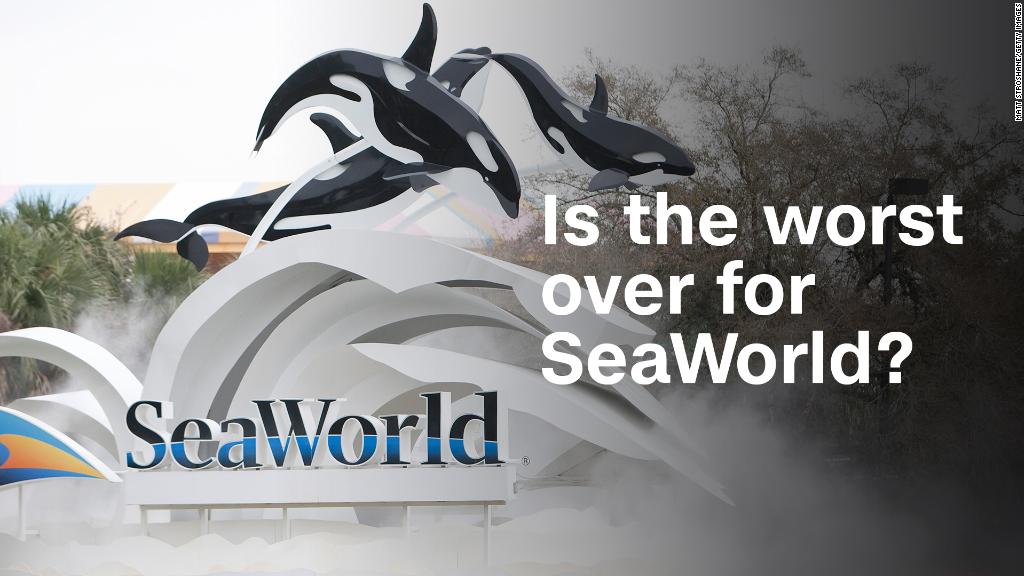 Is the worst over for SeaWorld?