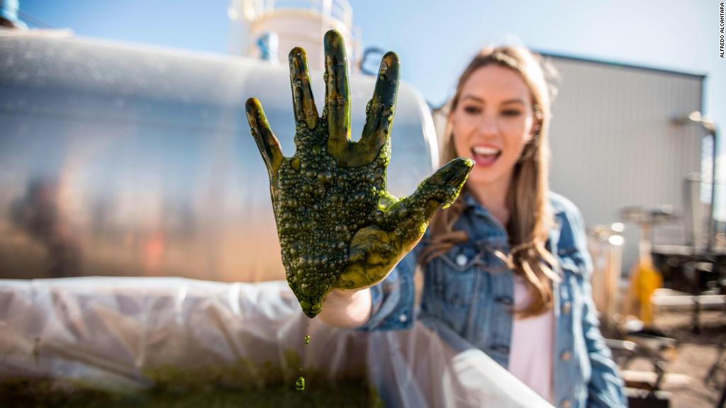 Is algae the food of the future?