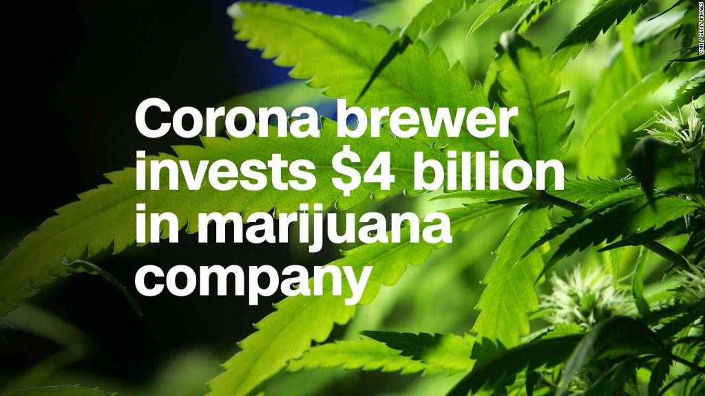 Corona, Modelo brewer invests $ 4 billion in a marijuana business