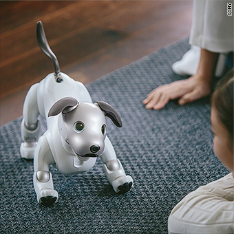 Sony\'s cute -- and super smart -- robot dog is coming to the US