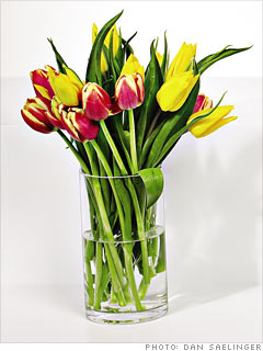 Tulips.com's Tulips