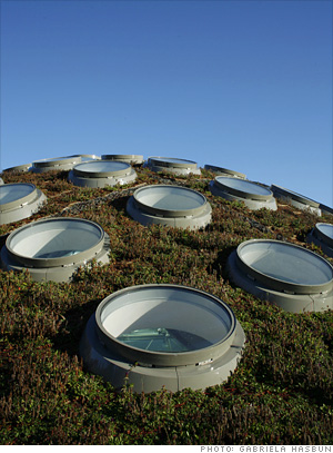 Smarter building - Living roof 