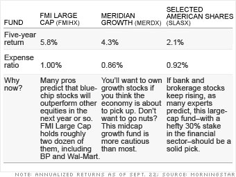 Buy a top-notch stock fund 