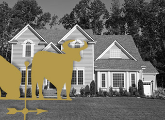 U.S. Housing: Bull