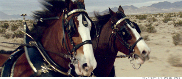 Anheuser Clydesdales