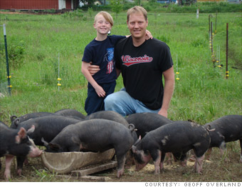 We started raising pigs 
