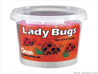 Orcon LB-C1500 Live Ladybugs