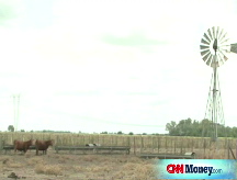 Argentina farms wipe out